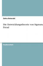 Die Entwicklungstheorie von Sigmund Freud