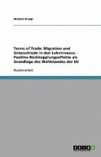 Terms of Trade: Migration und Unterschiede in den Lohnniveaus - Positive Rückkopplungseffekte als Grundlage des Wohlstandes der EU
