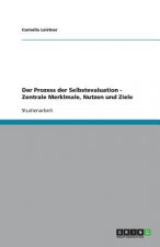 Prozess Der Selbstevaluation