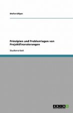 Prinzipien Und Problemlagen Von Projektfinanzierungen