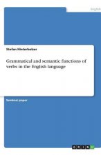 Grammatical and semantic functions of verbs in the English language