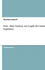 Sein - Eine Analyse zur Logik des Seins im Sophistes