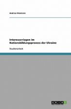 Interessenlagen im Nationsbildungsprozess der Ukraine