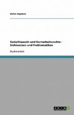 Sozialklauseln und Kernarbeitsrechte - Sichtweisen und Problematiken