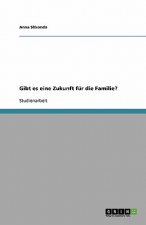 Gibt Es Eine Zukunft Fur Die Familie?