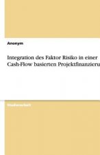 Integration Des Faktor Risiko in Einer Cash-Flow Basierten Projektfinanzierung
