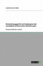 Entwicklungspolitik als Katalysator der europäisch-afrikanischen Beziehungen.