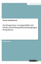Zur Kooperation von Jugendhilfe und Schule. Entwicklung, Rahmenbedingungen, Perspektiven