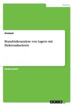 Brandrisikoanalyse von Lagern mit Elektronikschrott
