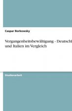 Vergangenheitsbew ltigung - Deutschland Und Italien Im Vergleich