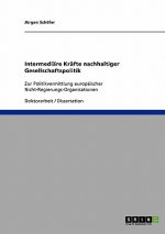 Intermediare Krafte nachhaltiger Gesellschaftspolitik