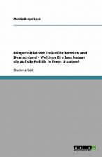 Burgerinitiativen in Grossbritannien und Deutschland - Welchen Einfluss haben sie auf die Politik in ihren Staaten?