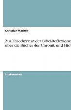 Zur Theodizee in der Bibel-Reflexionen über die Bücher der Chronik und Hiob