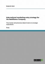 International marketing entry strategy for the Red//Green Company