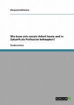 Wie kann sich soziale Arbeit heute und in Zukunft als Profession behaupten?