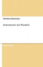 Instrumente Des Wandels
