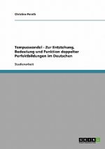 Tempuswandel - Zur Entstehung, Bedeutung und Funktion doppelter Perfektbildungen im Deutschen