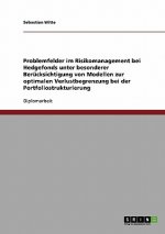 Problemfelder im Risikomanagement bei Hedgefonds unter besonderer Berücksichtigung von Modellen zur optimalen Verlustbegrenzung bei der Portfoliostruk