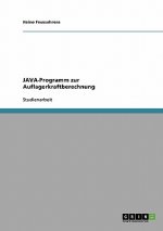 JAVA-Programm zur Auflagerkraftberechnung