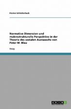 Normative Dimension und makrostrukturelle Perspektive in der Theorie des sozialen Austauschs von Peter M. Blau