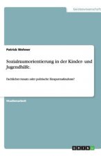 Sozialraumorientierung in der Kinder- und Jugendhilfe.