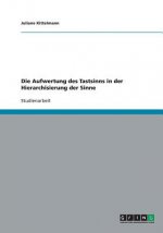 Aufwertung des Tastsinns in der Hierarchisierung der Sinne