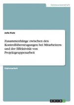 Zusammenhange zwischen den Kontrolluberzeugungen bei Mitarbeitern und der Effektivitat von Projektgruppenarbeit