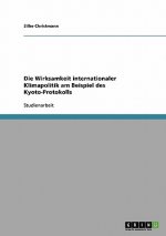 Wirksamkeit internationaler Klimapolitik am Beispiel des Kyoto-Protokolls