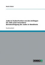 Juden in Tauberfranken von den Anfangen bis 1945 unter besonderer Berucksichtigung der Juden in Wenkheim