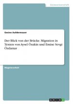 Der Blick von der Brücke. Migration in Texten von Aysel Özakin und Emine Sevgi Özdamar