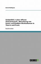 Geldpolitik in Einer Offenen Volkswirtschaft