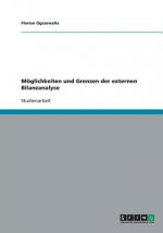Moeglichkeiten und Grenzen der externen Bilanzanalyse