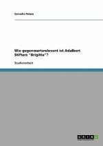 Wie gegenwartsrelevant ist Adalbert Stifters Brigitta?