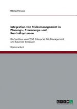 Integration von Risikomanagement in Planungs-, Steuerungs- und Kontrollsystemen