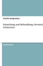 Entstehung und Behandlung chronischer Schmerzen