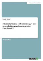 Mitarbeiter minus Mitbestimmung = Die neuen Leistungsanforderungen im Einzelhandel?