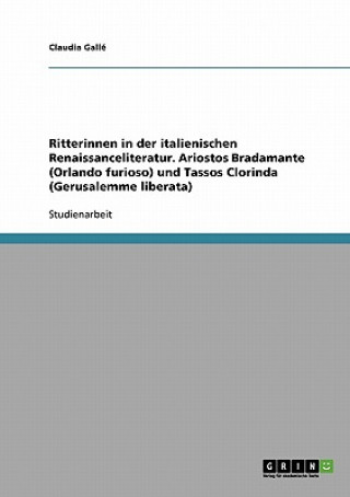 Ritterinnen in der italienischen Renaissanceliteratur. Ariostos Bradamante (Orlando furioso) und Tassos Clorinda (Gerusalemme liberata)