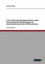 Triest: Aktuelle Bestandsaufnahme sowie infrastrukturelle Entwicklungen im Zusammenhang mit der EU-Erweiterung
