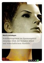 Sozialmanagement Im Spannungsfeld Zwischen Ethik Der Sozialen Arbeit Und Wirtschaftlichem Handeln