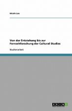 Von der Entstehung bis zur Fernsehforschung der Cultural Studies