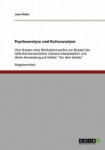 Psychoanalyse und Kulturanalyse