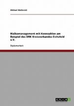 Risikomanagement mit Kennzahlen am Beispiel des DRK Kreisverbandes Eichsfeld e.V.