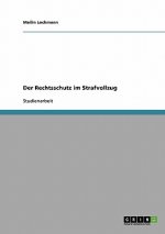 Rechtsschutz im Strafvollzug