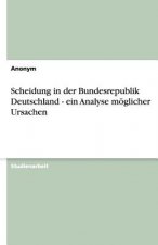 Scheidung in der Bundesrepublik Deutschland - ein Analyse möglicher Ursachen