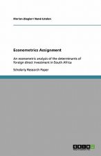 Econometrics Assignment
