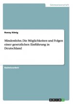 Mindestlohn. Die Moeglichkeiten und Folgen einer gesetzlichen Einfuhrung in Deutschland