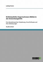 Nichtstaatliche Organisationen (NGOs) in der Entwicklungshilfe