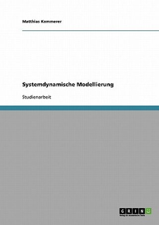 Systemdynamische Modellierung