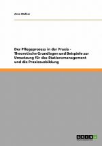 Pflegeprozess in der Praxis. Theoretische Grundlagen und Beispiele zur Umsetzung fur das Stationsmanagement und die Praxisausbildung
