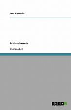 Schizophrenie. Krankheitsverlauf, Therapiemoeglichkeiten und soziale Folgen der Stoerung